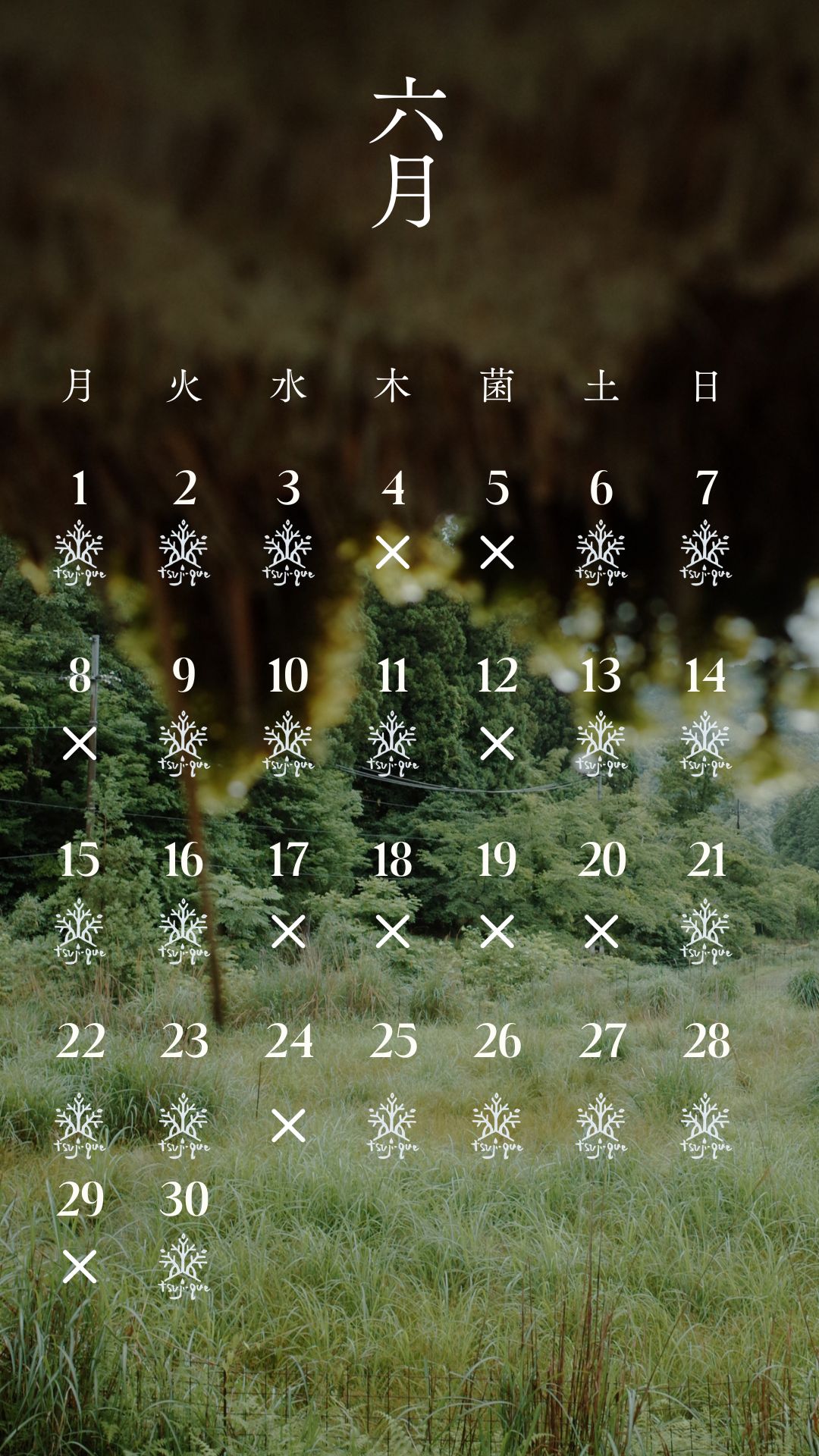 営業日カレンダー
